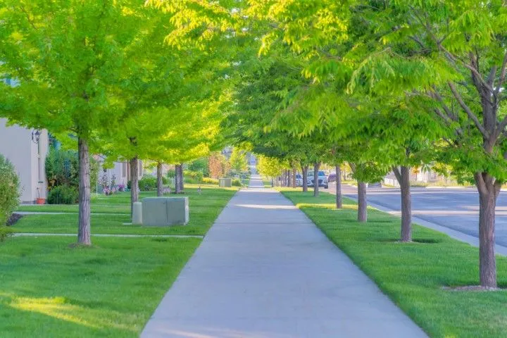Sidewalk lined with trees, lush green grass, sunny day in Benton, Arkansas